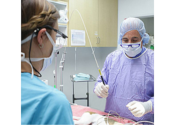 Newport Beach Veterinary Clinics Newport Hills Animal Hospital