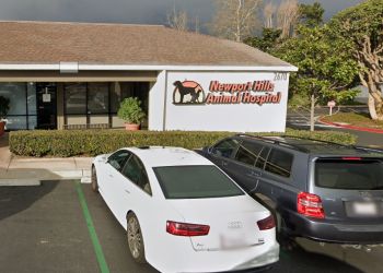 Newport Hills Animal Hospital Newport Beach Veterinary Clinics