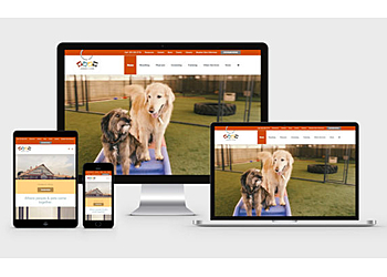 Rochester Web Designers NexGen Marketing