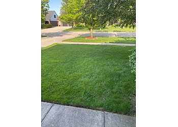 Sterling Heights Lawn Care Services NexGreen Lawn Tree and Exterior Pest