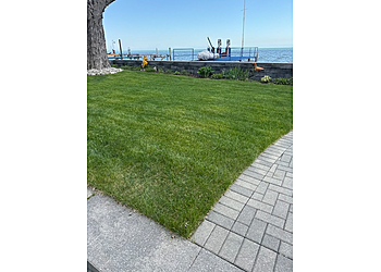 Sterling Heights Lawn Care Services NexGreen Lawn Tree and Exterior Pest