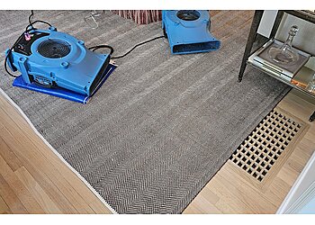 Stamford Carpet Cleaners Next Level Floor Care