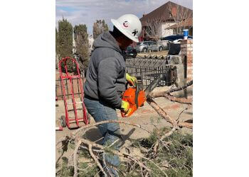 Next Tree Service - El Paso, TX Tree Services