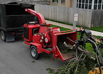Aurora Tree Services Nic Tree Services