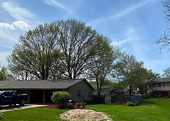 Aurora Tree Services Nic Tree Services