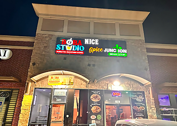 Carrollton Indian Restaurants Nice Spice Junction