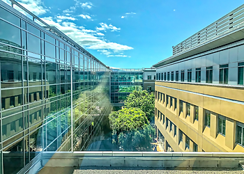 Santa Clara Neurologists Nicholas Parziale, MD - SANTA CLARA HOMESTEAD MEDICAL CENTER