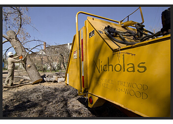 Nicholas Tree Removal Service