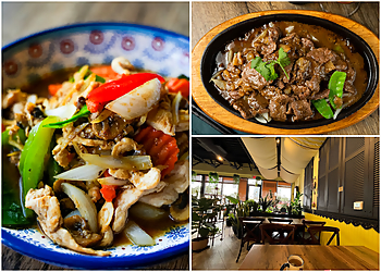 Houston Thai Restaurants Nidda Thai Cuisine