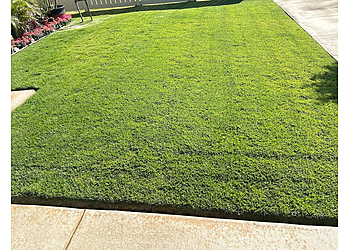 Honolulu Lawn Care Services Nifty Lawns