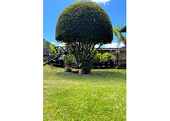 Honolulu Lawn Care Services Nifty Lawns