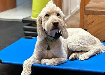 Fort Worth Dog Training Night and Day K9 Training