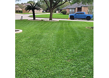 Beaumont Lawn Care Services No Life Mow Life Lawn Maintenance