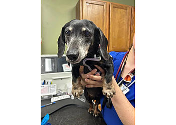 Noah’s Animal Hospital & 24 Hour Emergency Center - Indianapolis, IN Veterinary Clinics