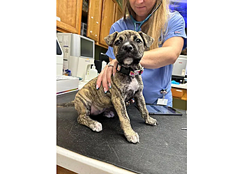 Noah’s Animal Hospital & 24 Hour Emergency Center - Indianapolis, IN Veterinary Clinics