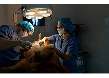 Columbia Veterinary Clinics Noah's Ark Animal Hospital & Bird Clinic