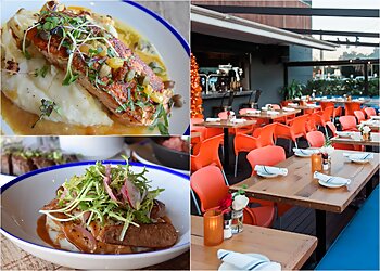 St Petersburg Italian Restaurants Noble Crust St. Petersburg