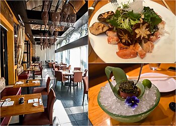 Dallas Japanese Restaurants Nobu Dallas