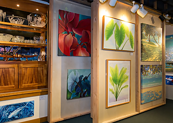 Honolulu Art Galleries Nohea Gallery