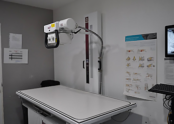 Nohl Ranch Animal Hospital - Orange, CA Veterinary Clinics - Medical Procedure Image
