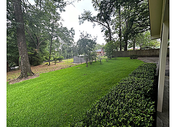 Mobile Lawn Care Services Nolan Lawn Care and Landscaping LLC