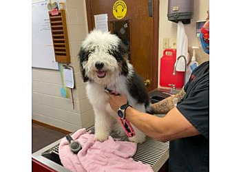 McAllen Veterinary Clinics Nolana Animal Hospital