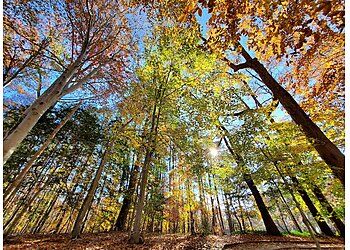 Newport News Hiking Trails Noland Trail