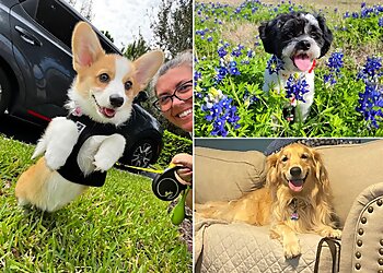 Orlando Dog Walkers Nona Paws Pet Sitting