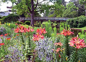 Norfolk Places To See Norfolk Botanical Garden