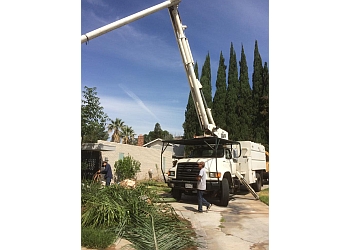 Riverside tree service Noriega and Sons Tree Service Corp.,