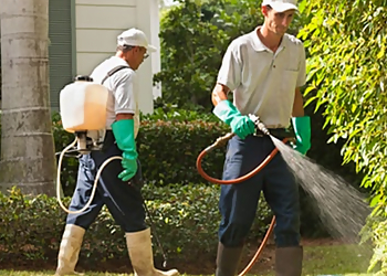 Norman Pest Control - Norman, OK Pest Control Companies - Field Work Image