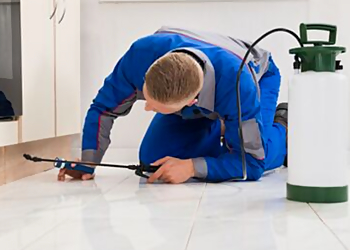 Norman Pest Control - Norman, OK Pest Control Companies - Job Site Image