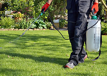 Norman Pest Control - Norman, OK Pest Control Companies - Service Image