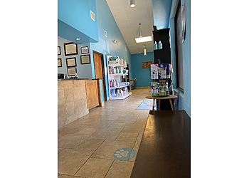 McAllen Veterinary Clinics North 10th Street Animal Hospital