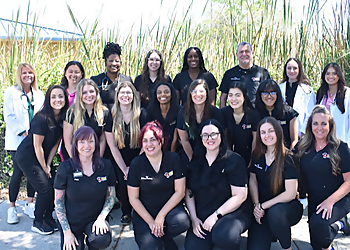 North Bay Animal Hospital - Tampa, FL Veterinary Clinics - Medical Procedure Image