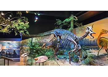 Raleigh Museums North Carolina Museum of Natural Sciences