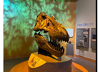 Raleigh Museums North Carolina Museum of Natural Sciences