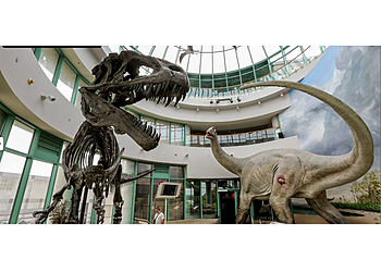 Raleigh Museums North Carolina Museum of Natural Sciences