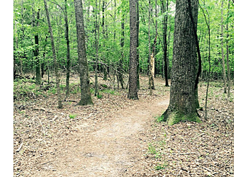 Charleston Hiking Trails North Charleston Wannamaker County Park