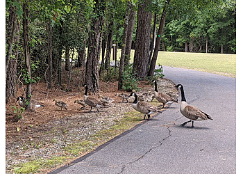 Charleston Hiking Trails North Charleston Wannamaker County Park