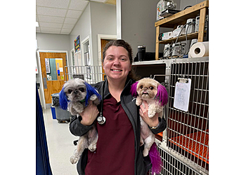 Greensboro Veterinary Clinics North Elm Animal Hospital