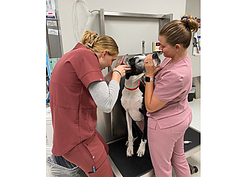 Greensboro Veterinary Clinics North Elm Animal Hospital