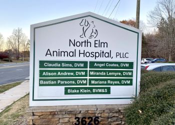 Greensboro veterinary clinic North Elm Animal Hospital