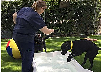 Tallahassee Veterinary Clinics North Florida Animal Hospital