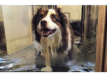 Tallahassee Veterinary Clinics North Florida Animal Hospital