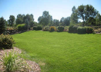 North Metro Lawn Care, LLC - Thornton, CO Lawn Care Services - Service Image