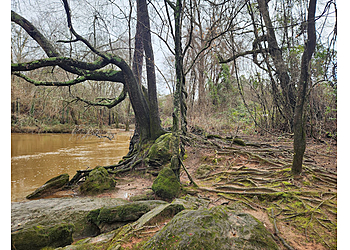 Athens Hiking Trails North Oconee River Greenway