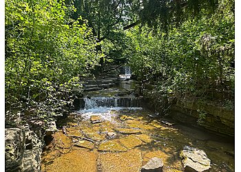 Chicago Hiking Trails North Park Village Nature Center