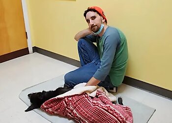 Durham Veterinary Clinics North Paw Animal Hospital