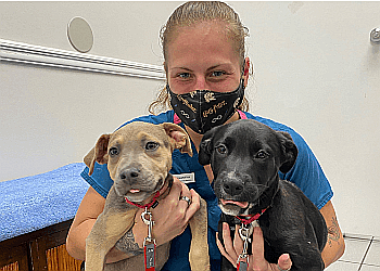 Port St Lucie Veterinary Clinics North Port St. Lucie Animal Hospital